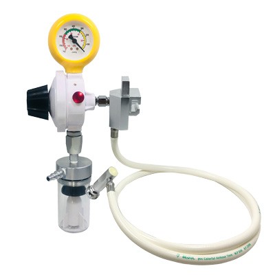 FS Series Pendant Regulator