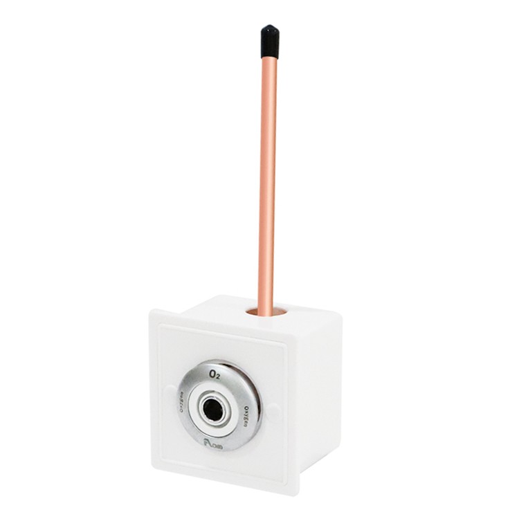 British Standard Wall Outlet 